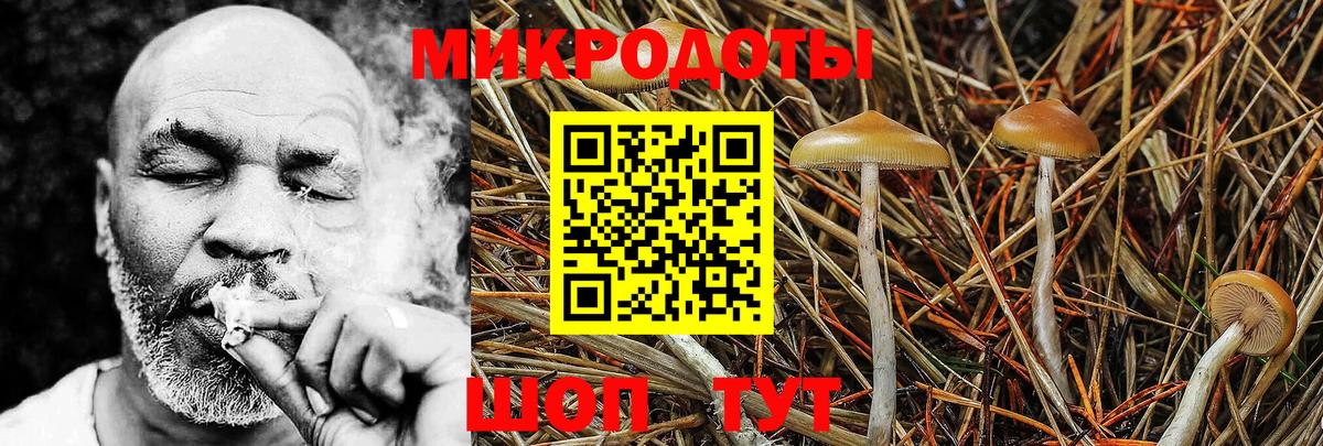 Галлюциногенные грибы Cubensis  Галлюциногенные грибы GOLDEN TEACHER  Чапаевск  Вход с VPN 